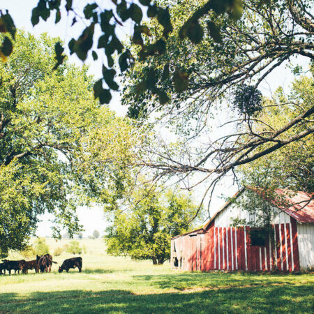 Oklahoma land for sale