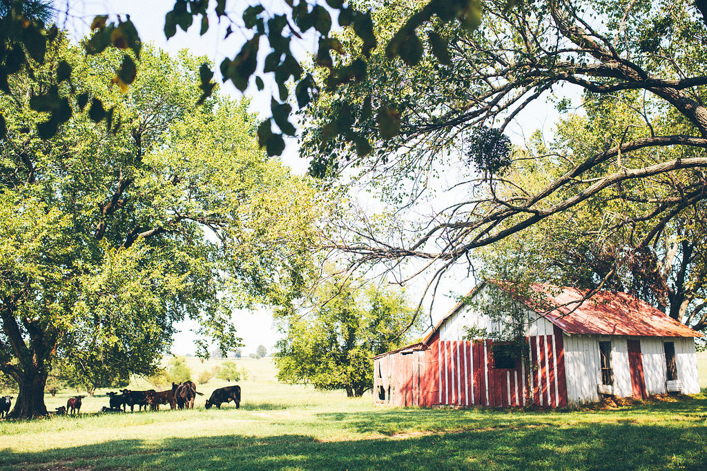 Oklahoma land for sale