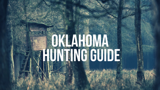 buying hunting land